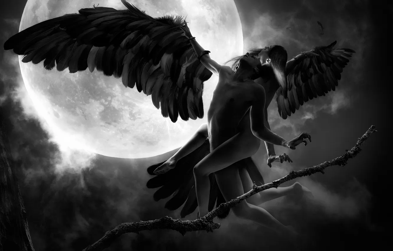 Фото обои девушка, ночь, фантазия, луна, крылья, арт, полёт, парень
