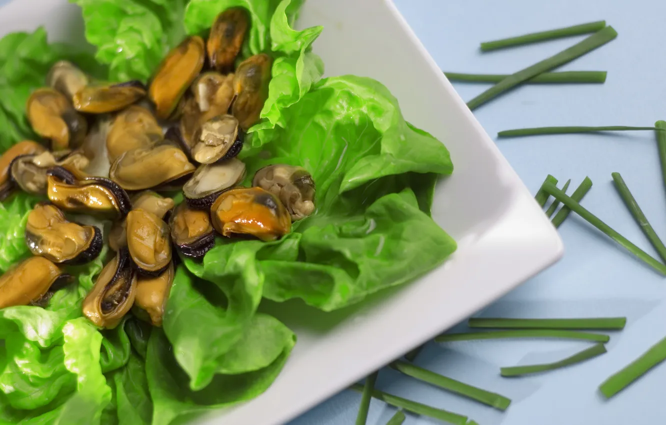 Фото обои зелень, тарелка, салат, морепродукты, мидии