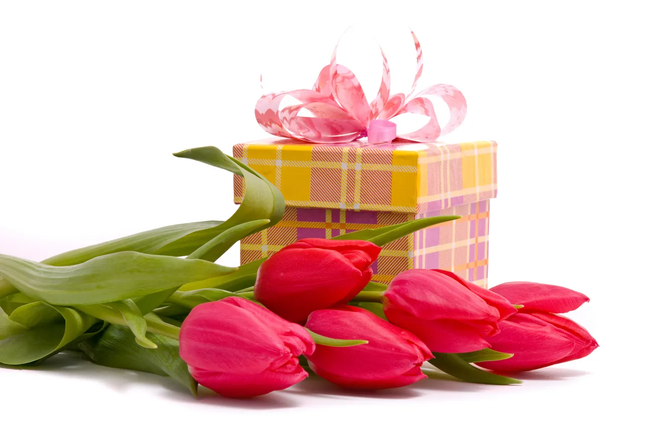 Фото обои коробка, подарок, тюльпаны