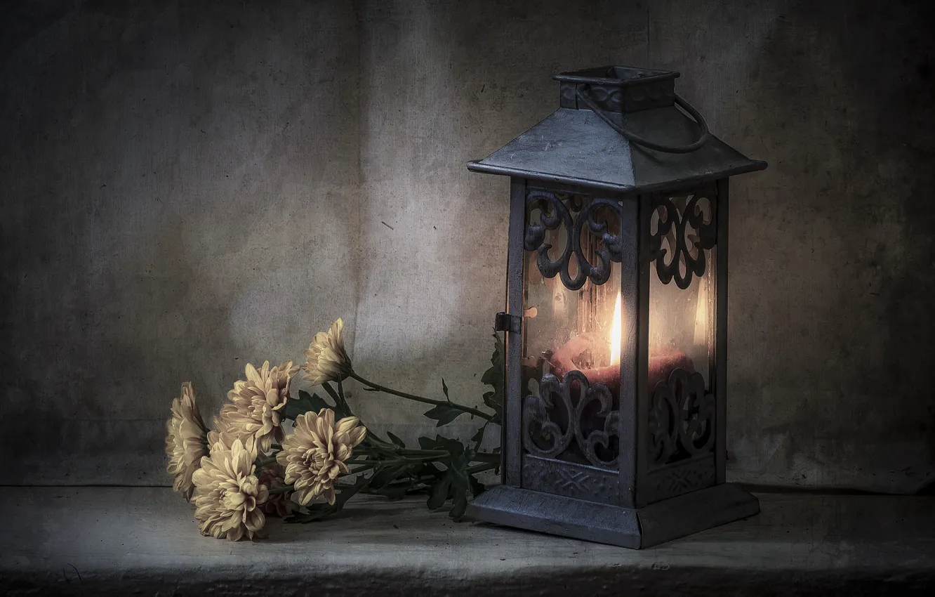 Фото обои цветы, стиль, свеча, фонарь, хризантемы