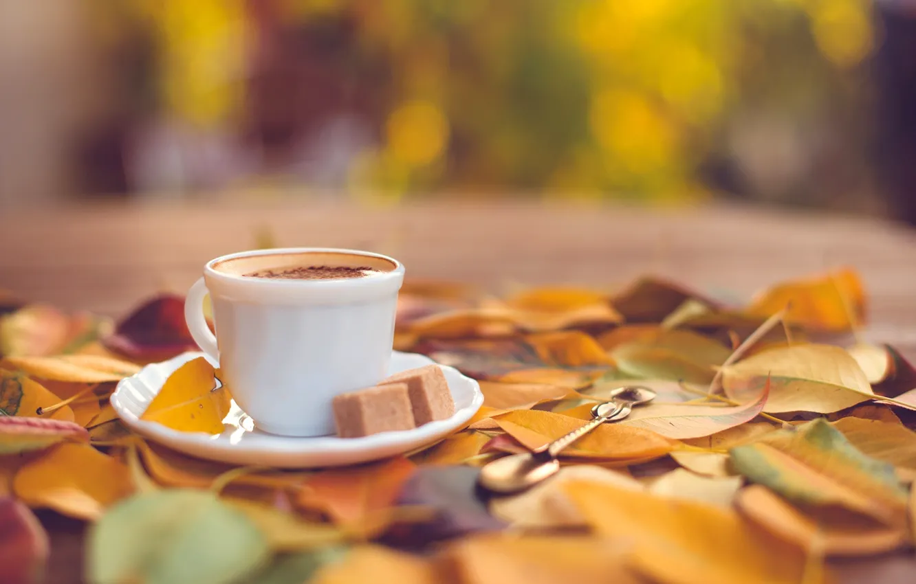 Фото обои осень, листья, кофе, желтые, ложка, чашка, сахар, блюдце
