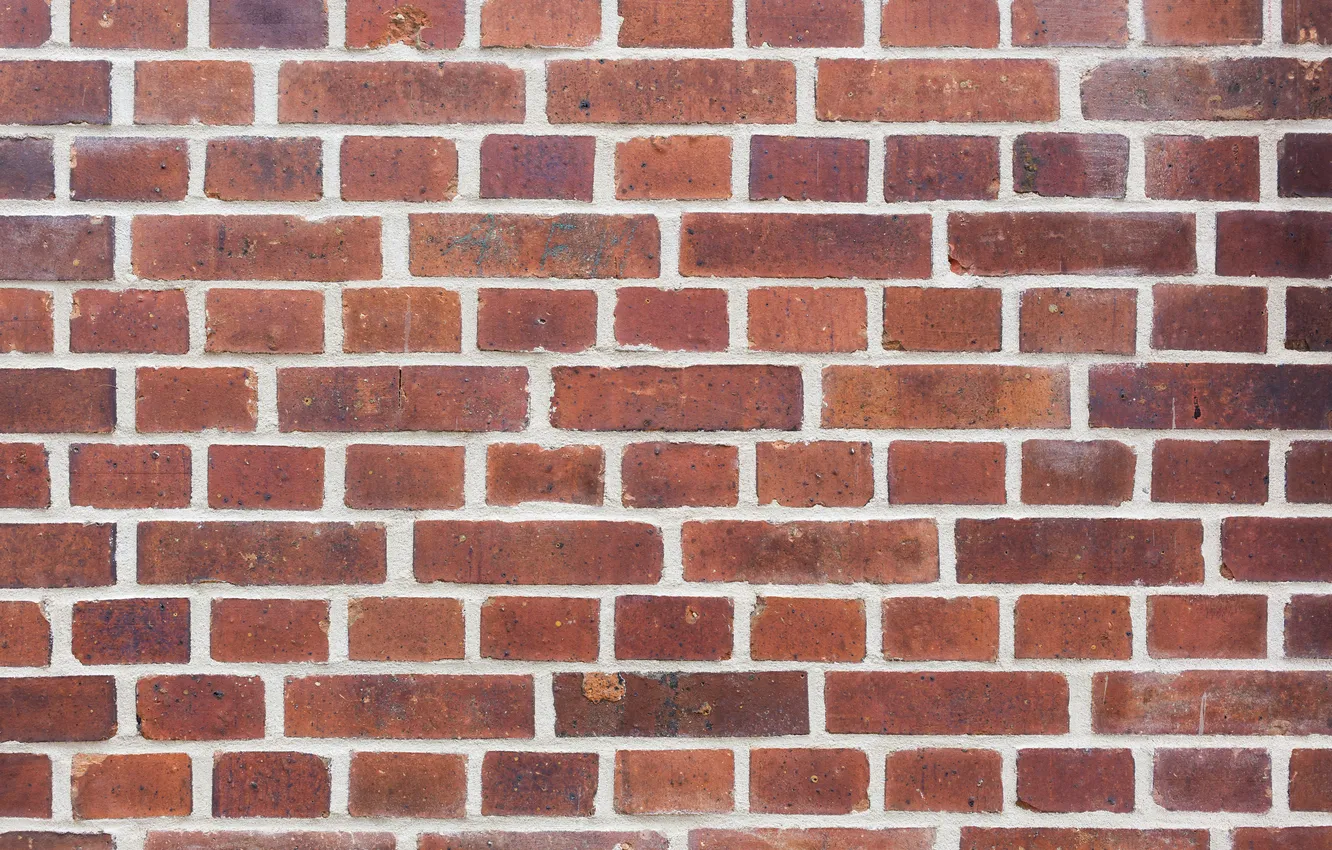 Фото обои wall, bricks, pattern, cement