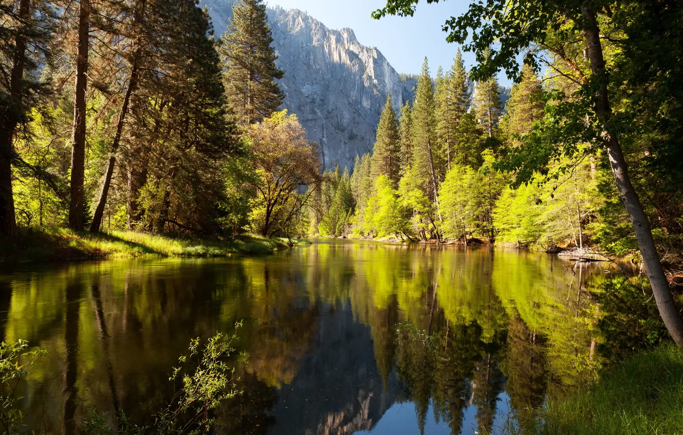 Фото обои лес, природа, озеро, парк, фото, Калифорния, США, Йосемити