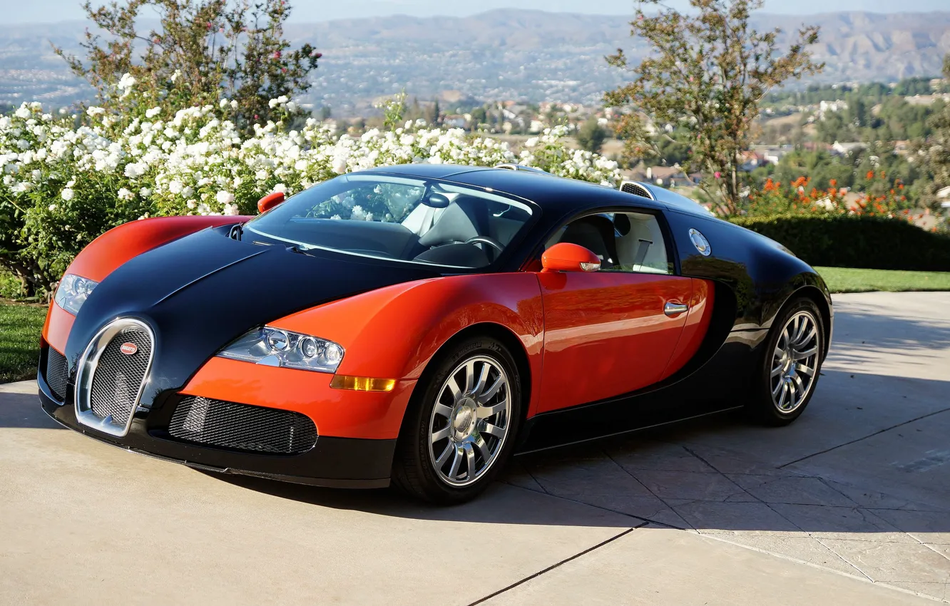 Фото обои Bugatti, Veyron, Red, Black, Valley, Profile