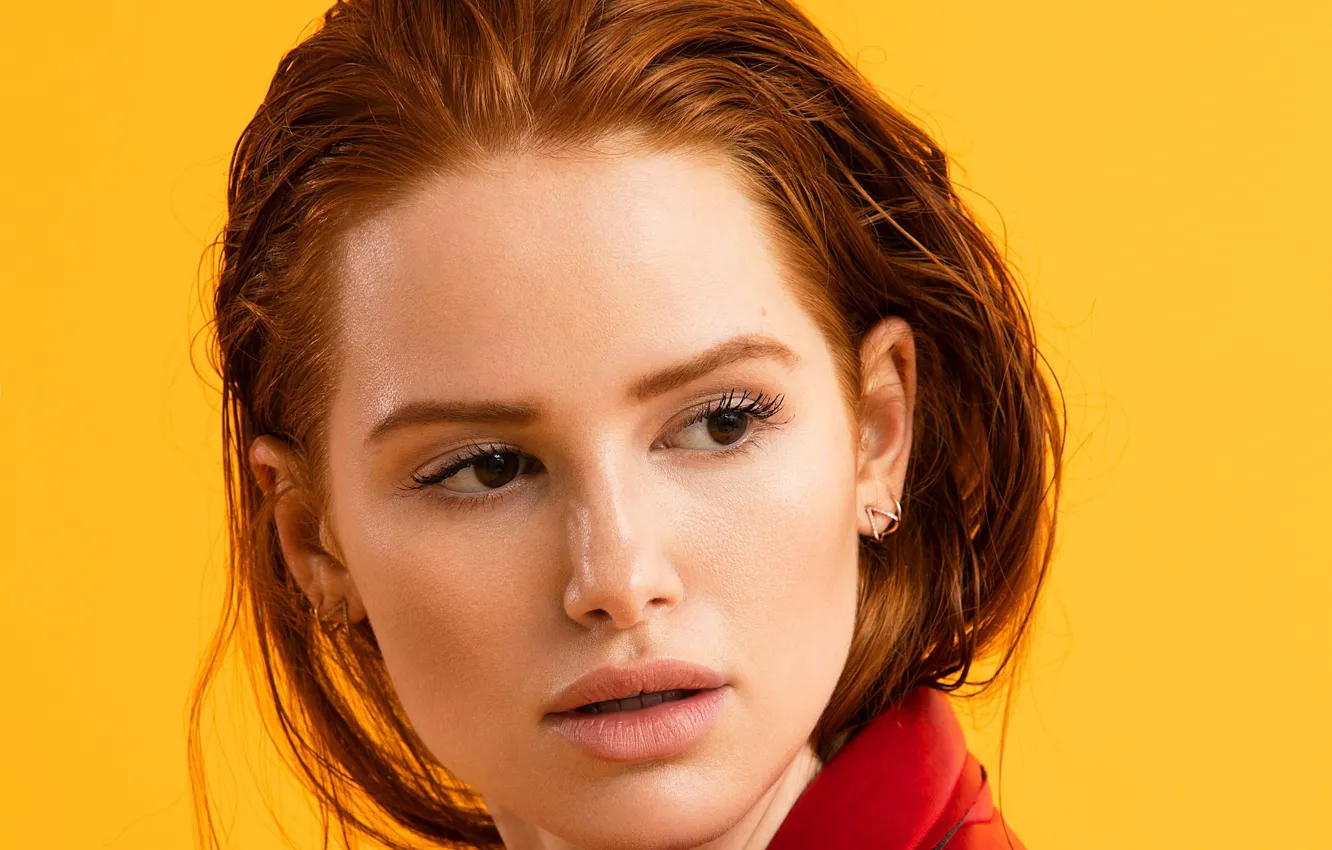 Фото обои портрет, актриса, рыжая, рыжеволосая, Madelaine Petsch