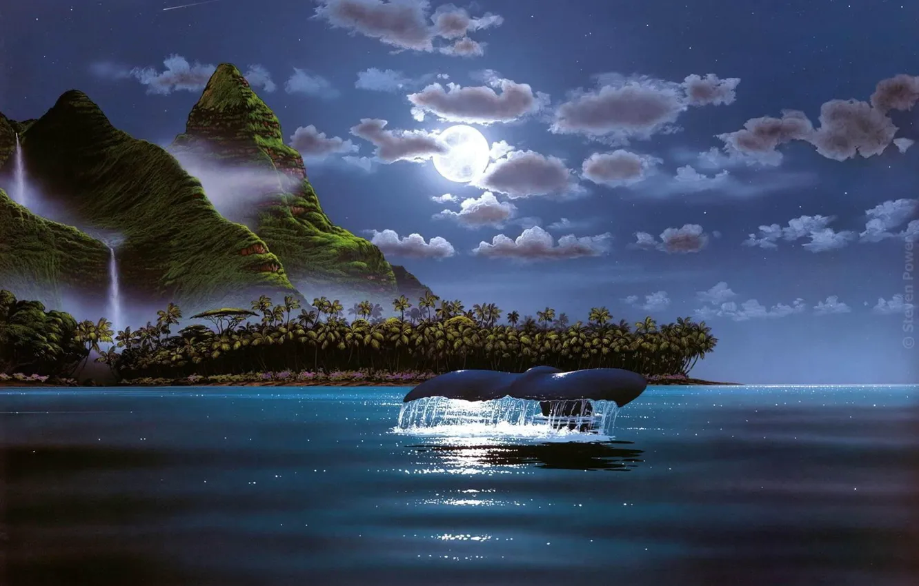 Фото обои ночь, океан, луна, кит