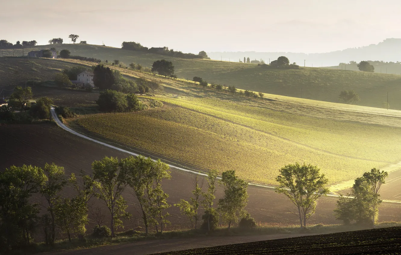 Фото обои landscape, italiano, natura, Raggi del mattino