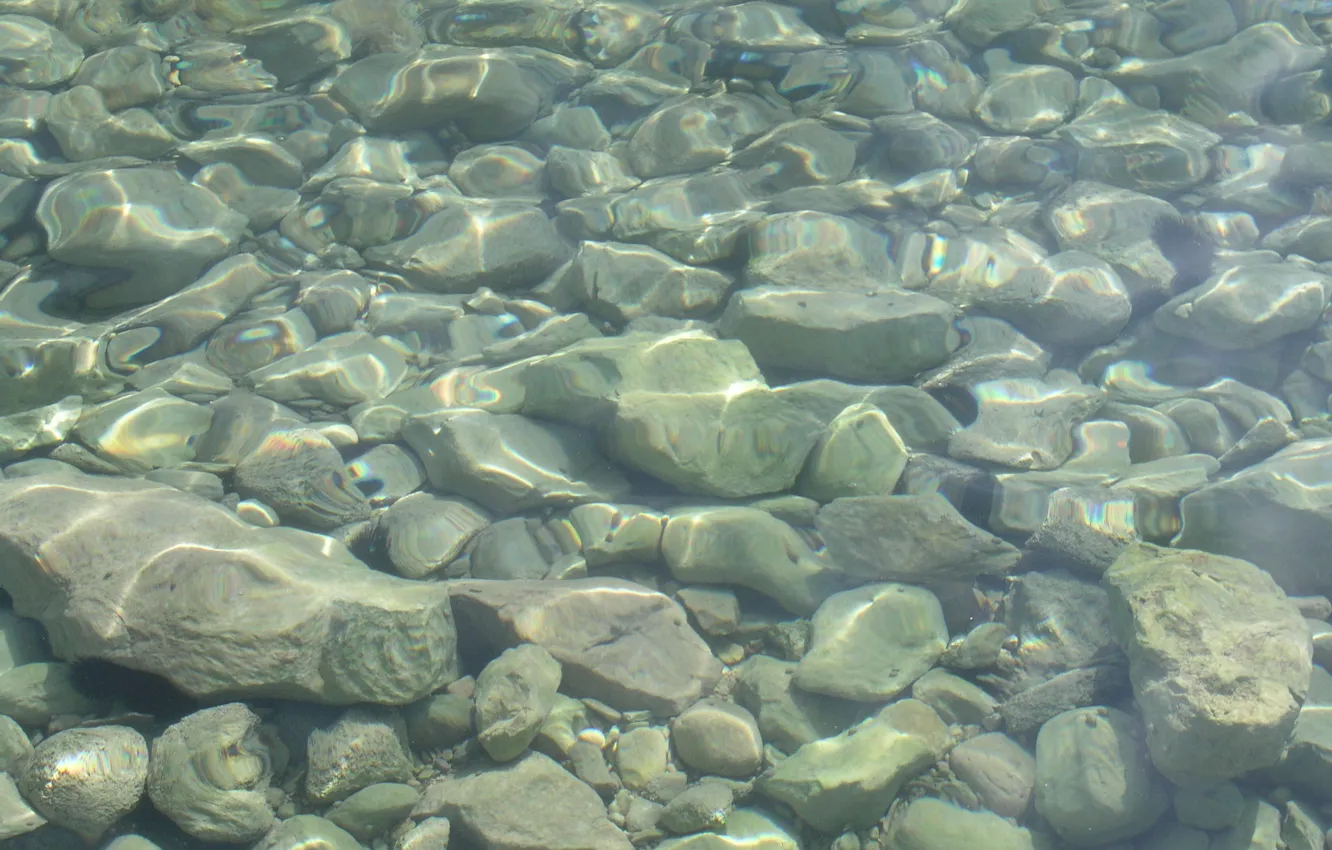 Фото обои камни, текстура, textures, фон на рабочий, underwater stones distorte