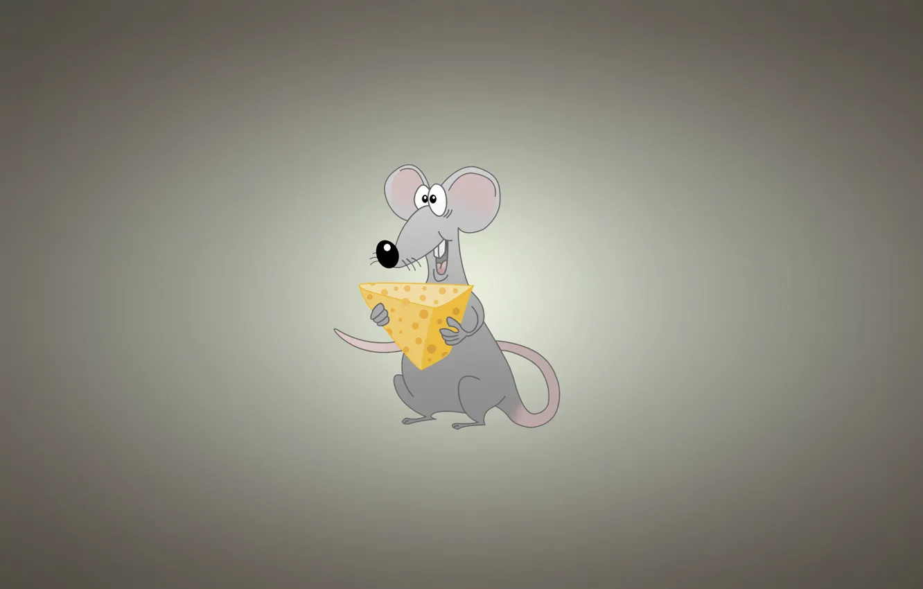 Фото обои минимализм, мышь, сыр, светлый фон, крыса, rat, mouse