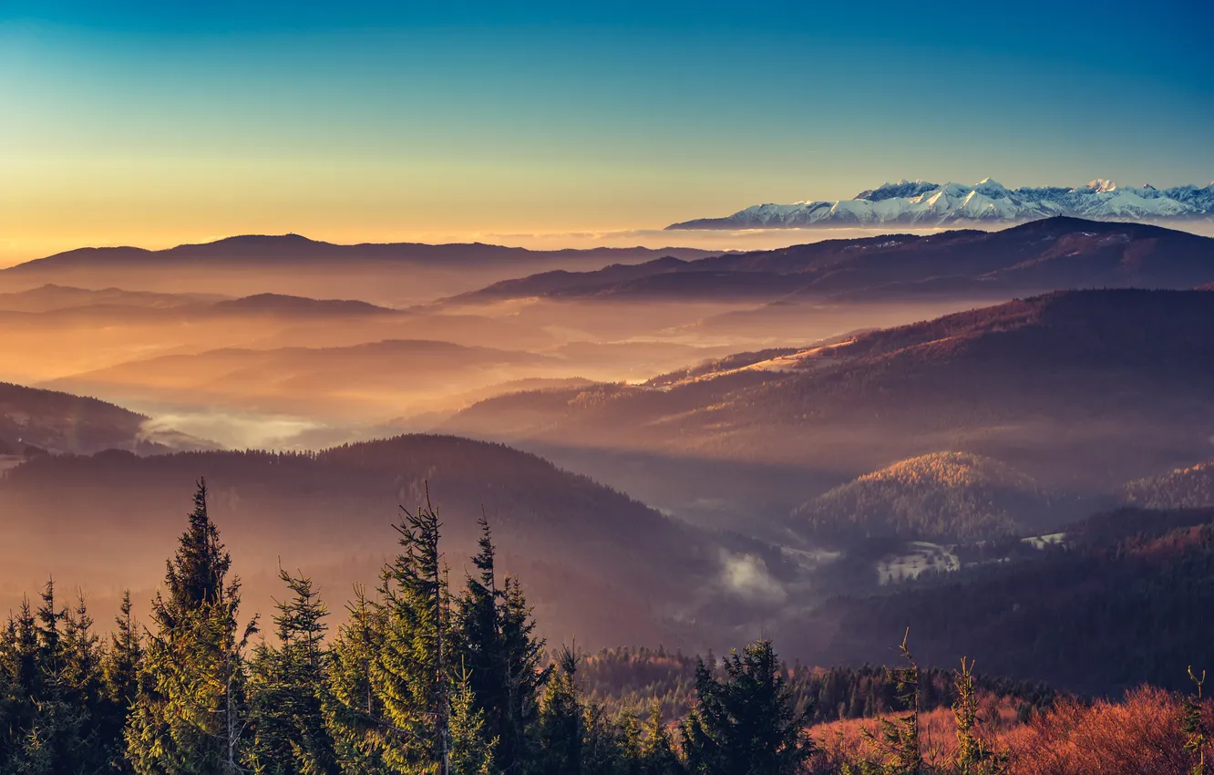 Фото обои landscape, nature, mountains, mountain, morning, mist, mystery, mountain range