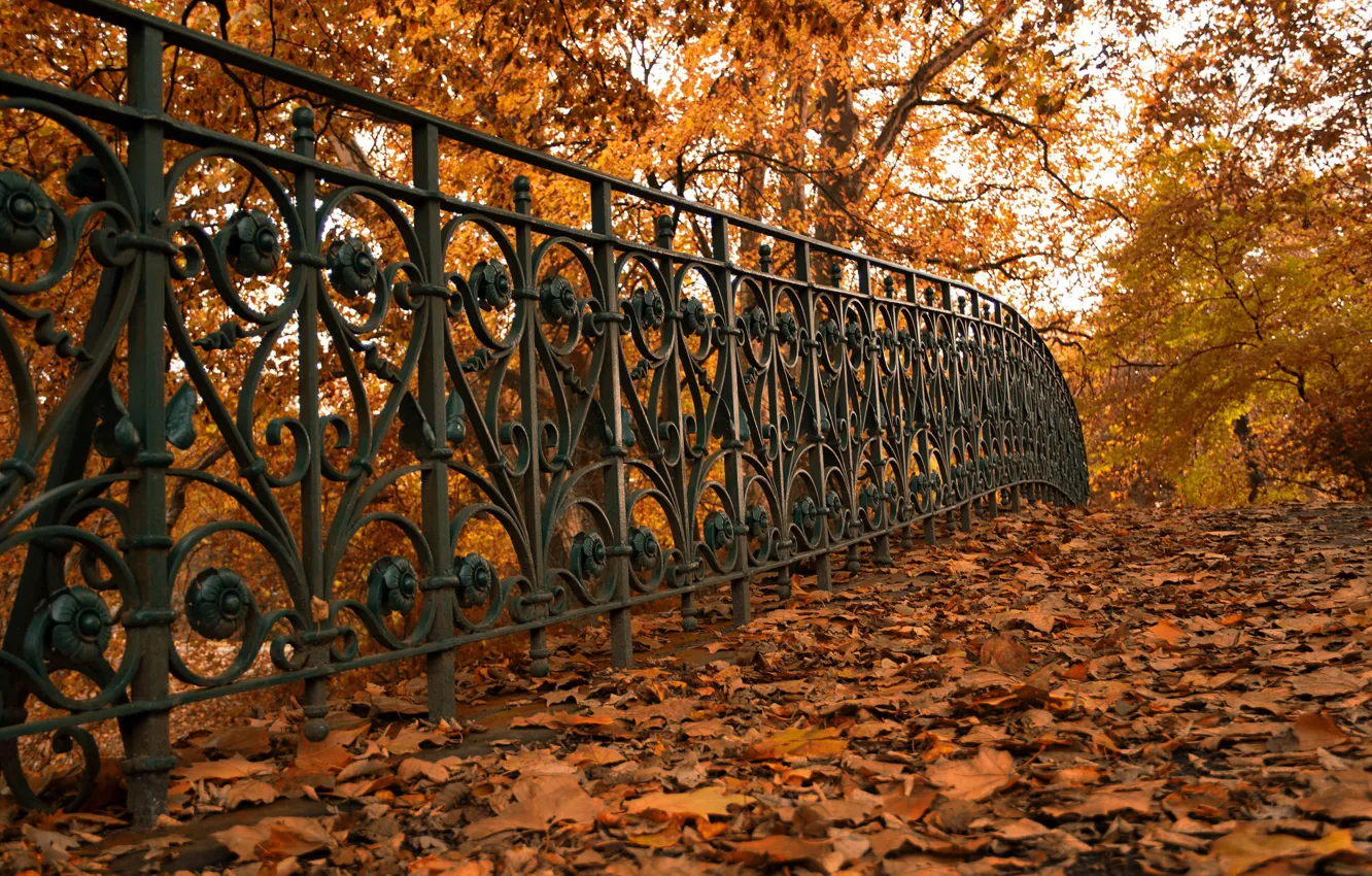 Фото обои осень, листья, улица, забор