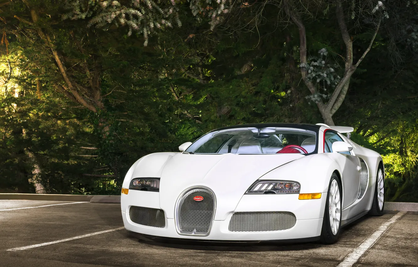 Фото обои Bugatti, Veyron, White, Vitesse, Wheels