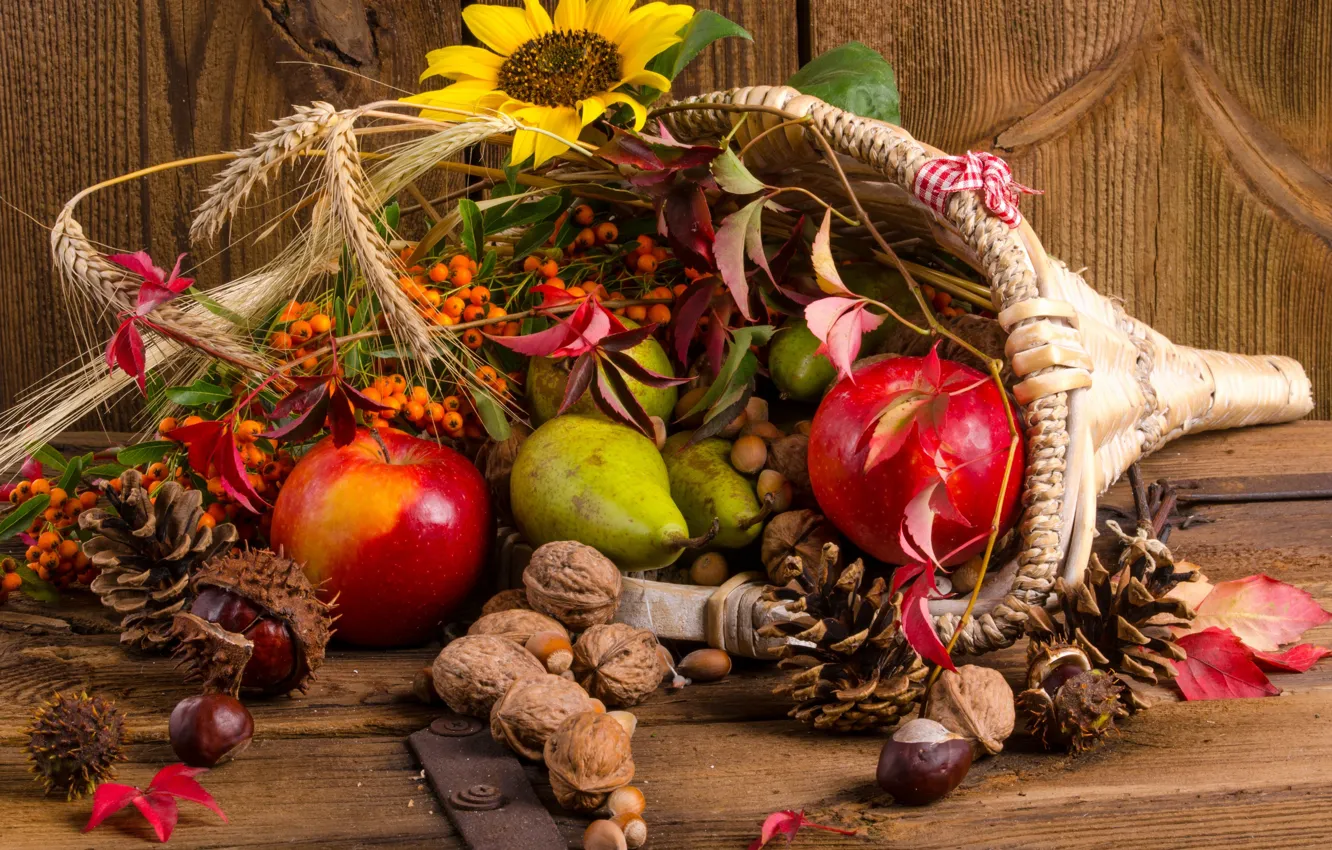 Фото обои фрукты, орехи, корзинка, шишки, рябина, дары осени