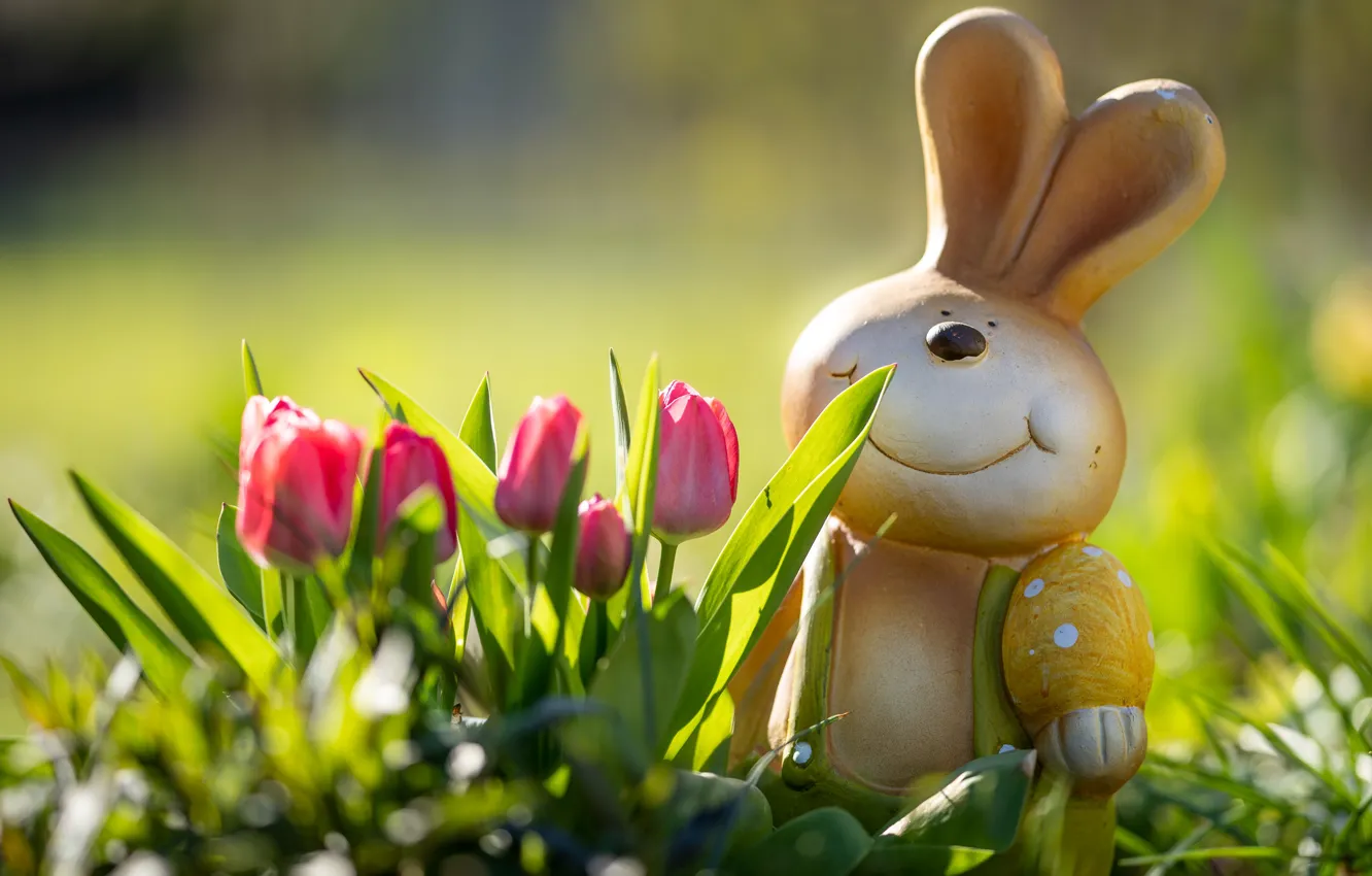 Фото обои свет, цветы, улыбка, настроение, игрушка, яйцо, заяц, весна