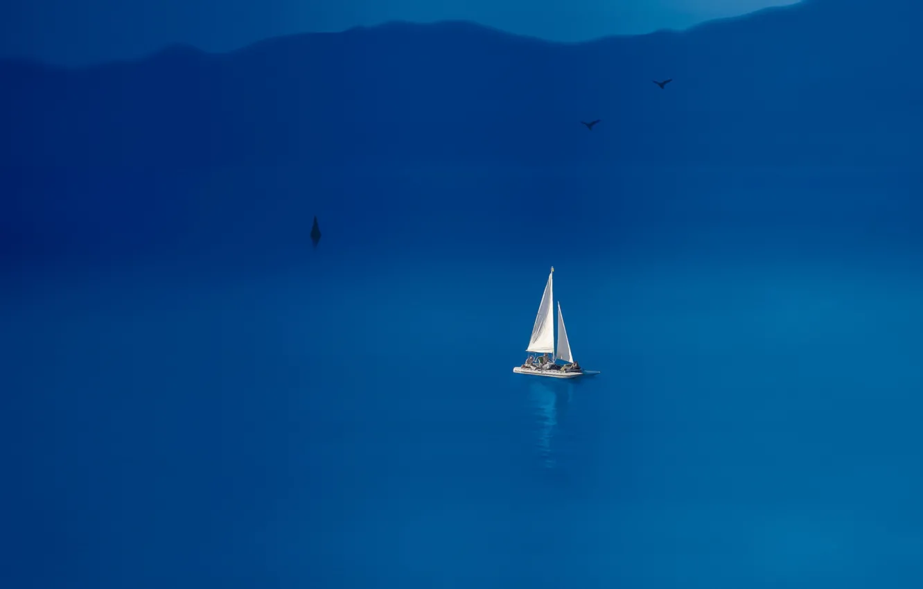 Фото обои море, птицы, лодка