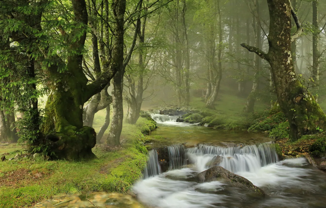 Фото обои лес, деревья, река, водопад, Испания, каскад, Spain, Наварра