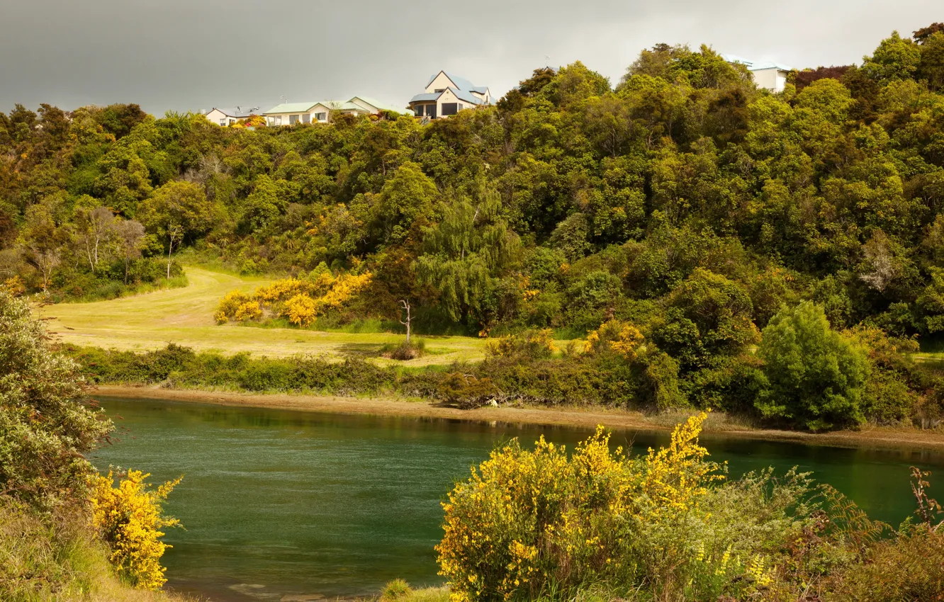 Фото обои зелень, деревья, река, берег, дома, Новая Зеландия, кусты, возвышенность