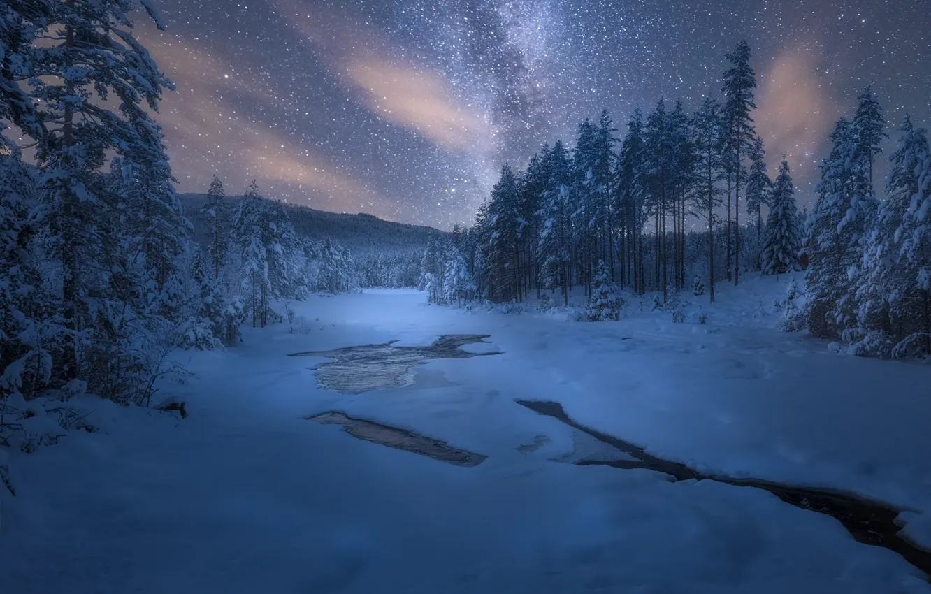 Фото обои зима, звезды, снег, деревья, ночь, природа