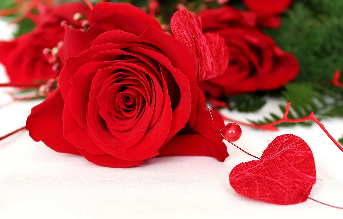 Фото обои цветы, сердце, розы, красные