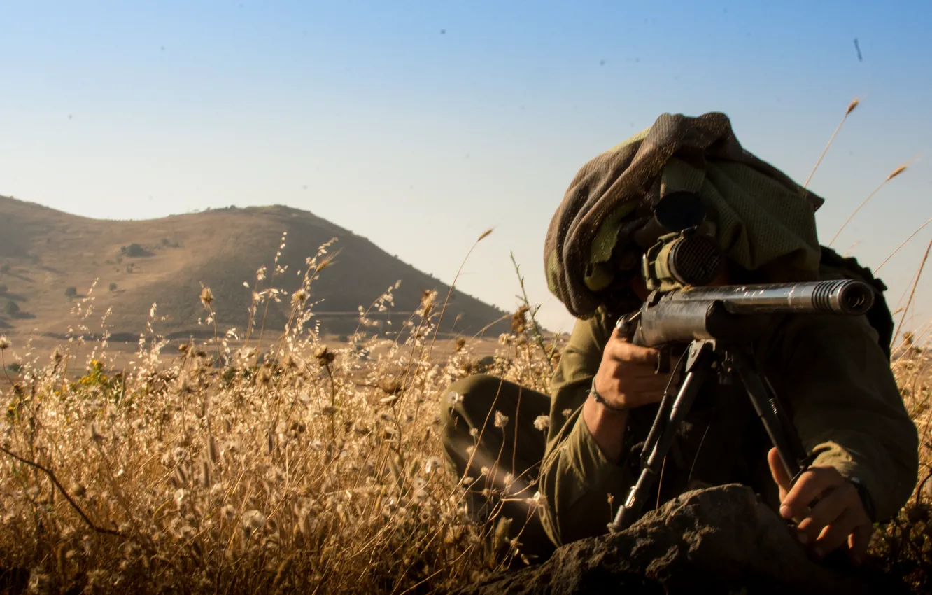 Фото обои трава, снайпер, прицел, винтовка