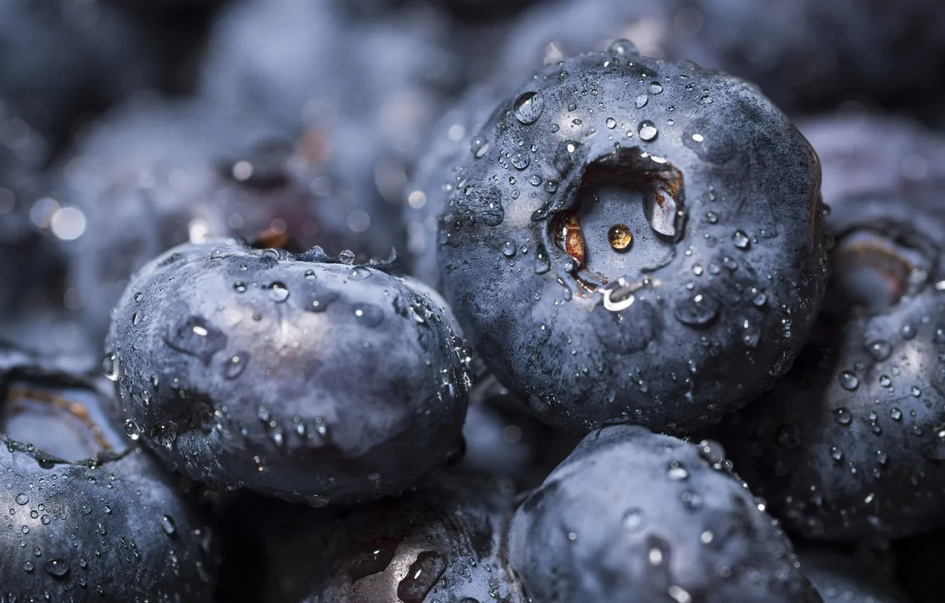 Фото обои macro, fruit, blackberry