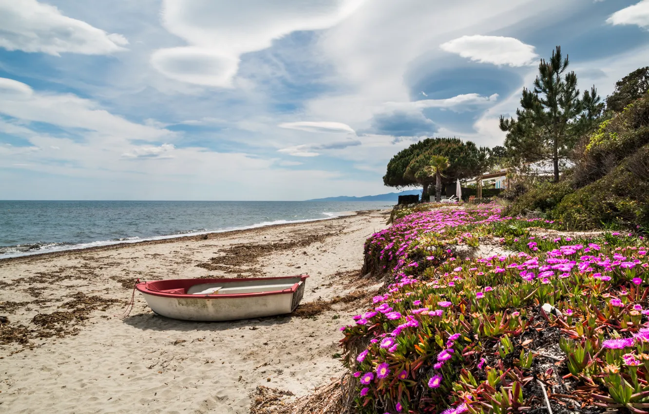 Фото обои песок, море, небо, облака, деревья, цветы, пальмы, берег