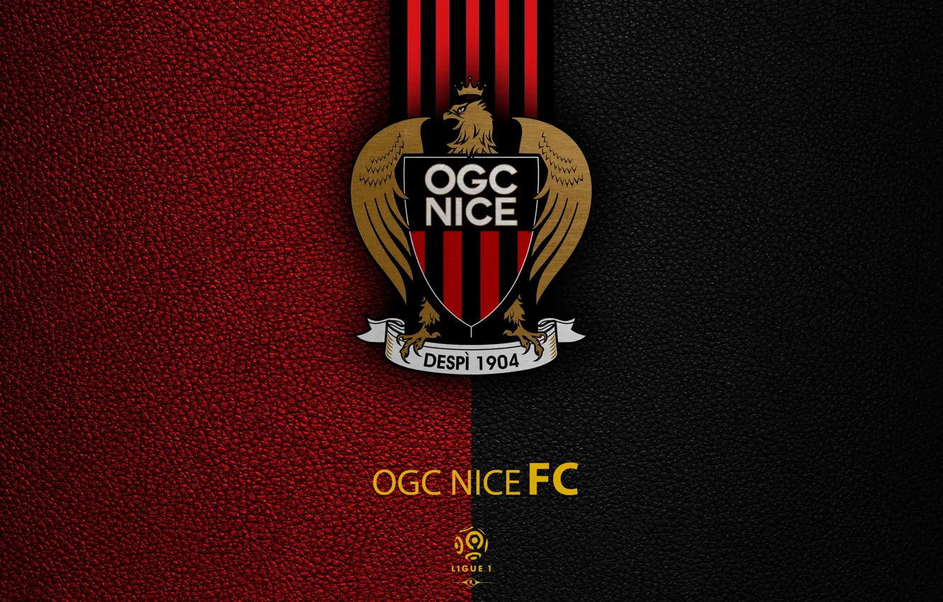 Фото обои wallpaper, sport, logo, football, Ligue 1, OGC Nice