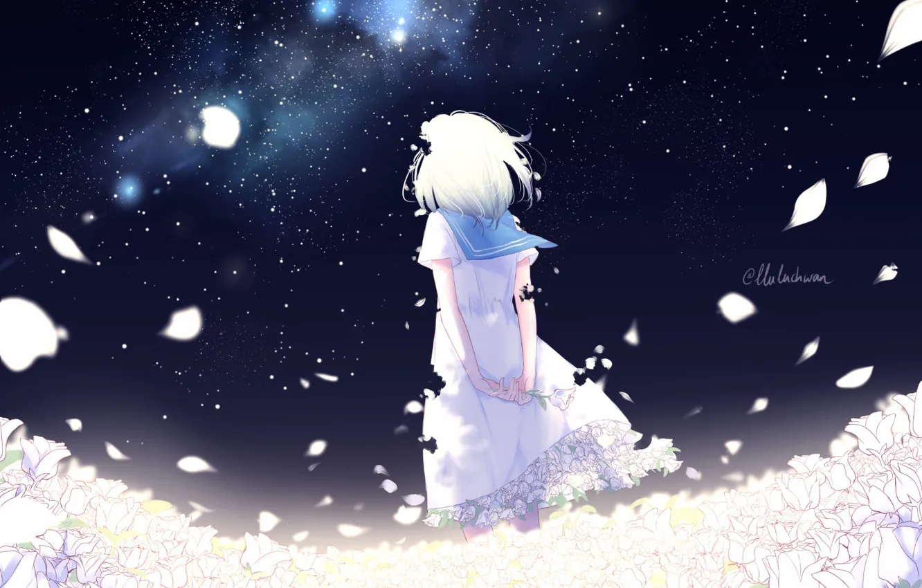 Фото обои воротник, девочка, Млечный Путь, белые розы, лепестки роз, art, звездное небо, матроска