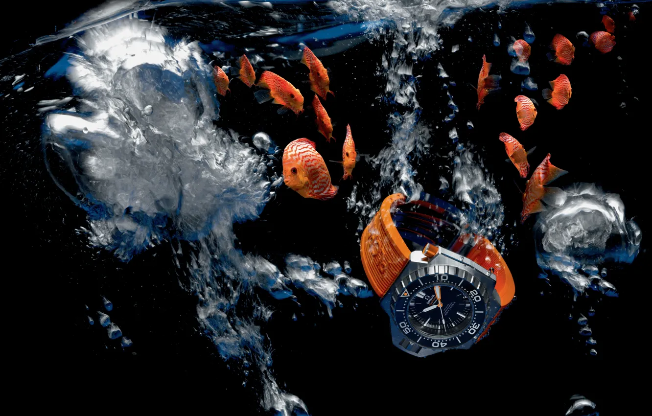 Фото обои вода, Часы, Omega, Seamaster, 1200M, Ploprof