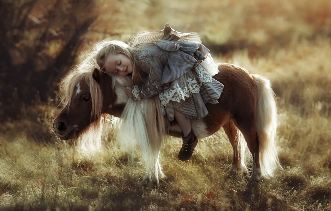 Фото обои любовь, девочка, пони, барышня, Валерия Мытник