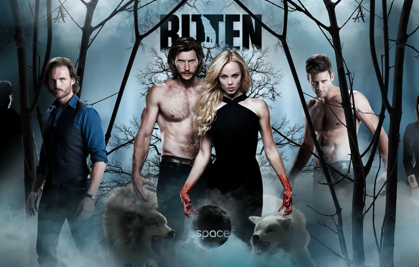 Фото обои лес, Сериал, актеры, Фильмы, Укушенная, Bitten