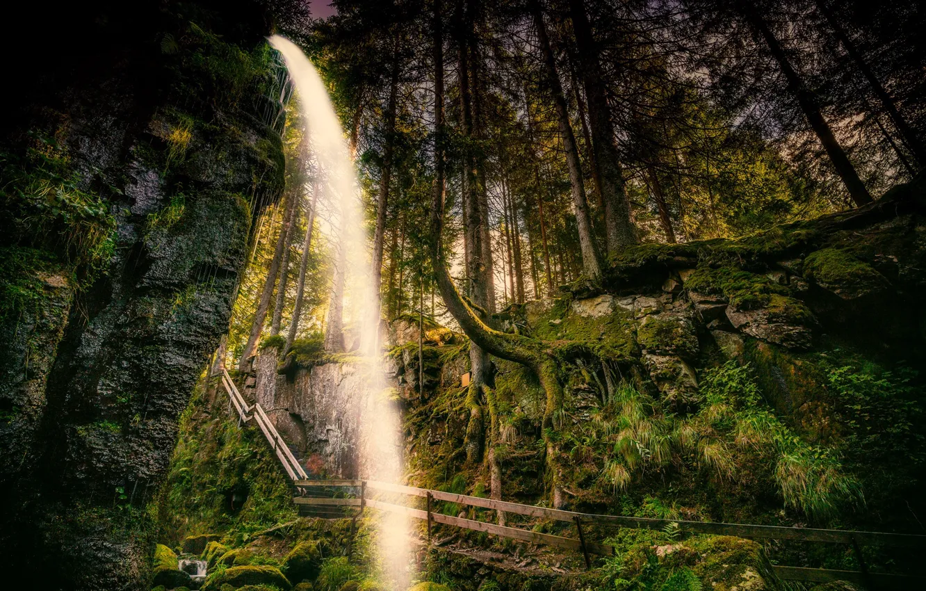 Фото обои зелень, лес, деревья, скала, камни, водопад, мох, Германия