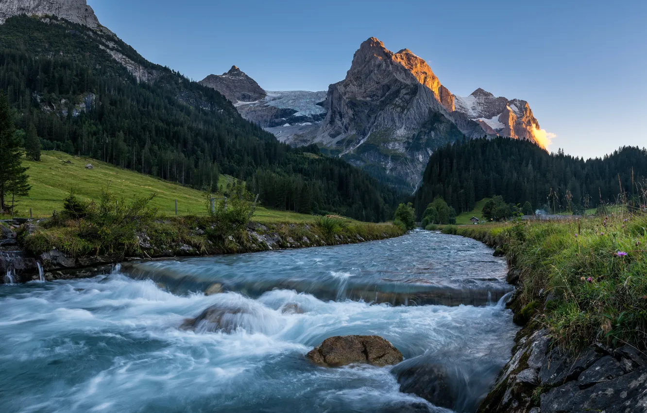 Фото обои лес, горы, река, Швейцария, Switzerland, Bernese Alps, Бернские Альпы, Bernese Oberland