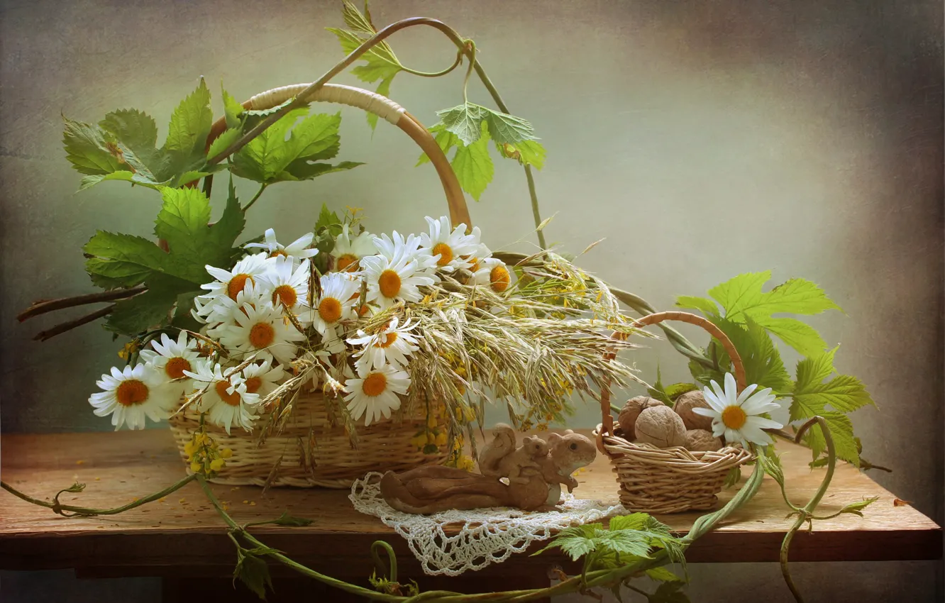 Фото обои листья, цветы, стол, растение, ромашки, статуэтка, орехи, натюрморт