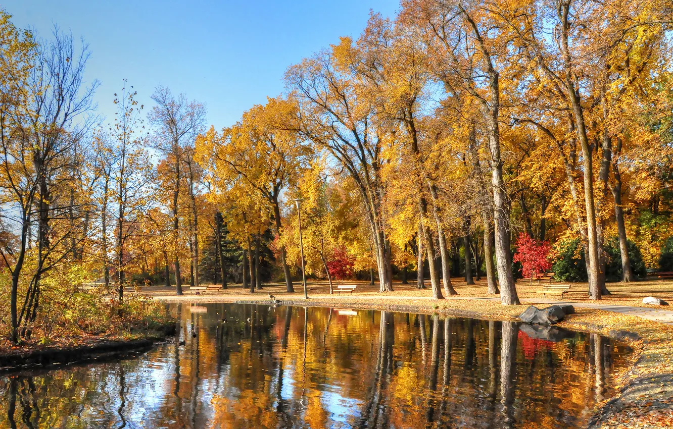 Фото обои осень, небо, деревья, пруд, парк, камень, скамья