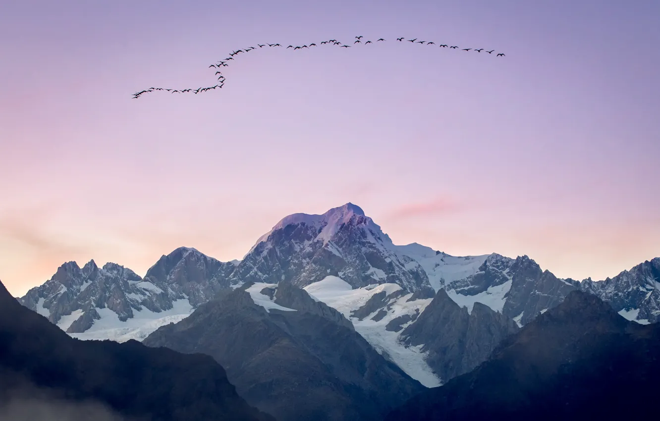 Фото обои небо, горы, птица, Geese Over Mt Tasman