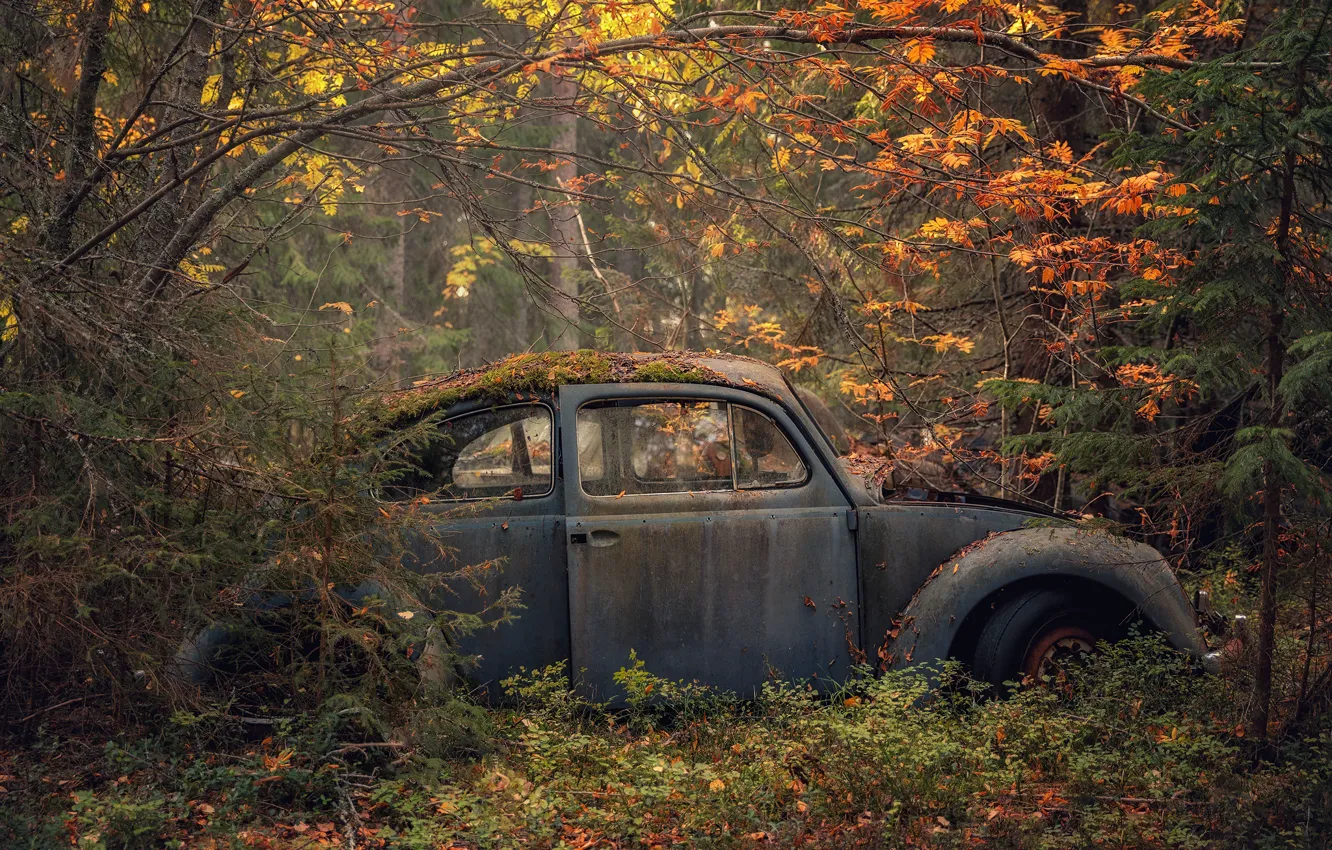Фото обои машина, осень, лес, лом