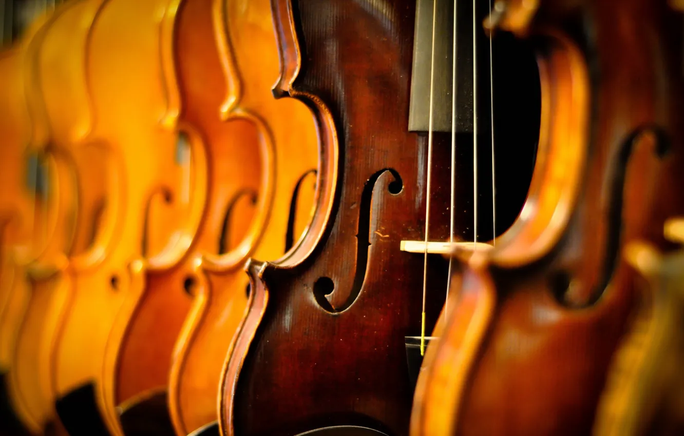 Фото обои макро, музыка, Violins