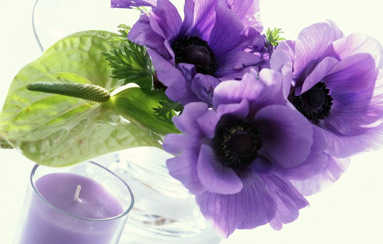 Фото обои свеча, белый фон, фиолетовые цветы, прозрачная ваза