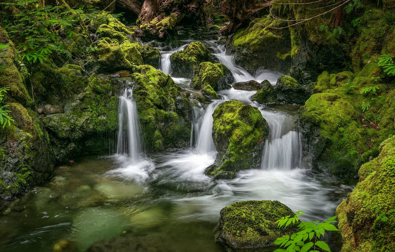 Фото обои ручей, камни, водопад, мох, Канада, речка, Canada, British Columbia