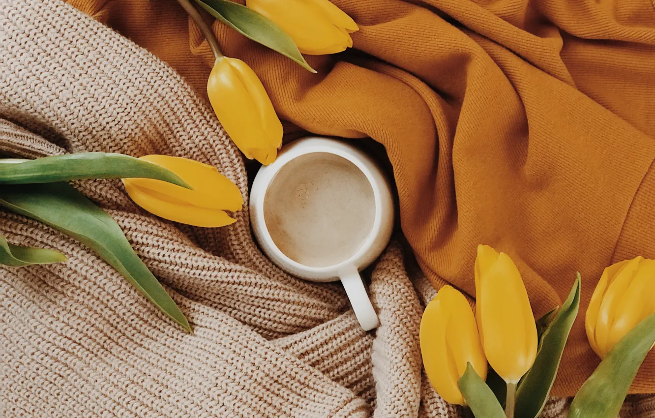 Фото обои цветы, тепло, кофе, чашка, тюльпаны, ткань, чашка кофе