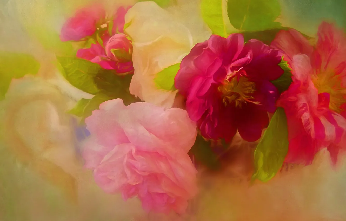 Фото обои цветы, зеленый, фон, яркие, рисунок, розы, букет, лепестки