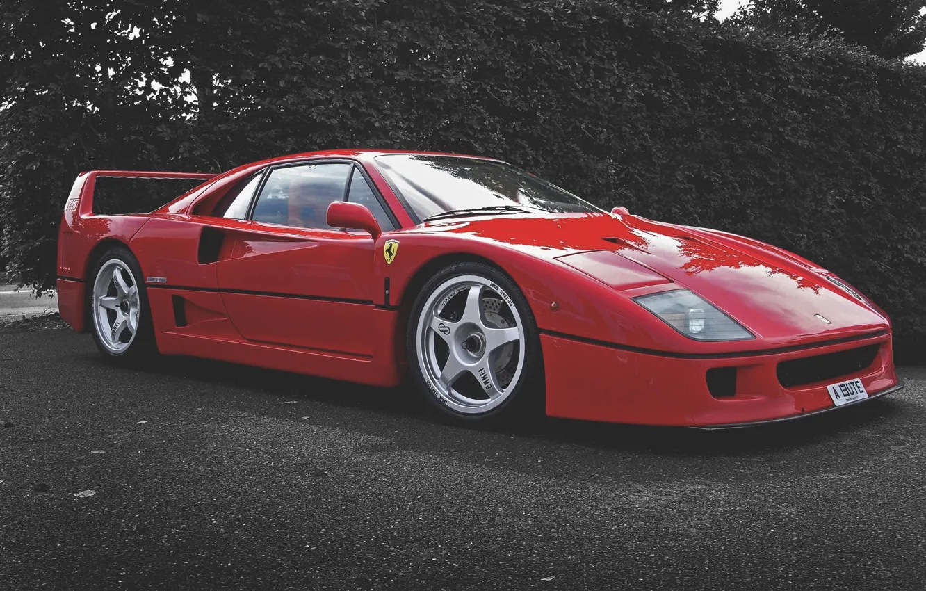Фото обои Красный, Машина, Ferrari, F40, Автомобиль, F 40