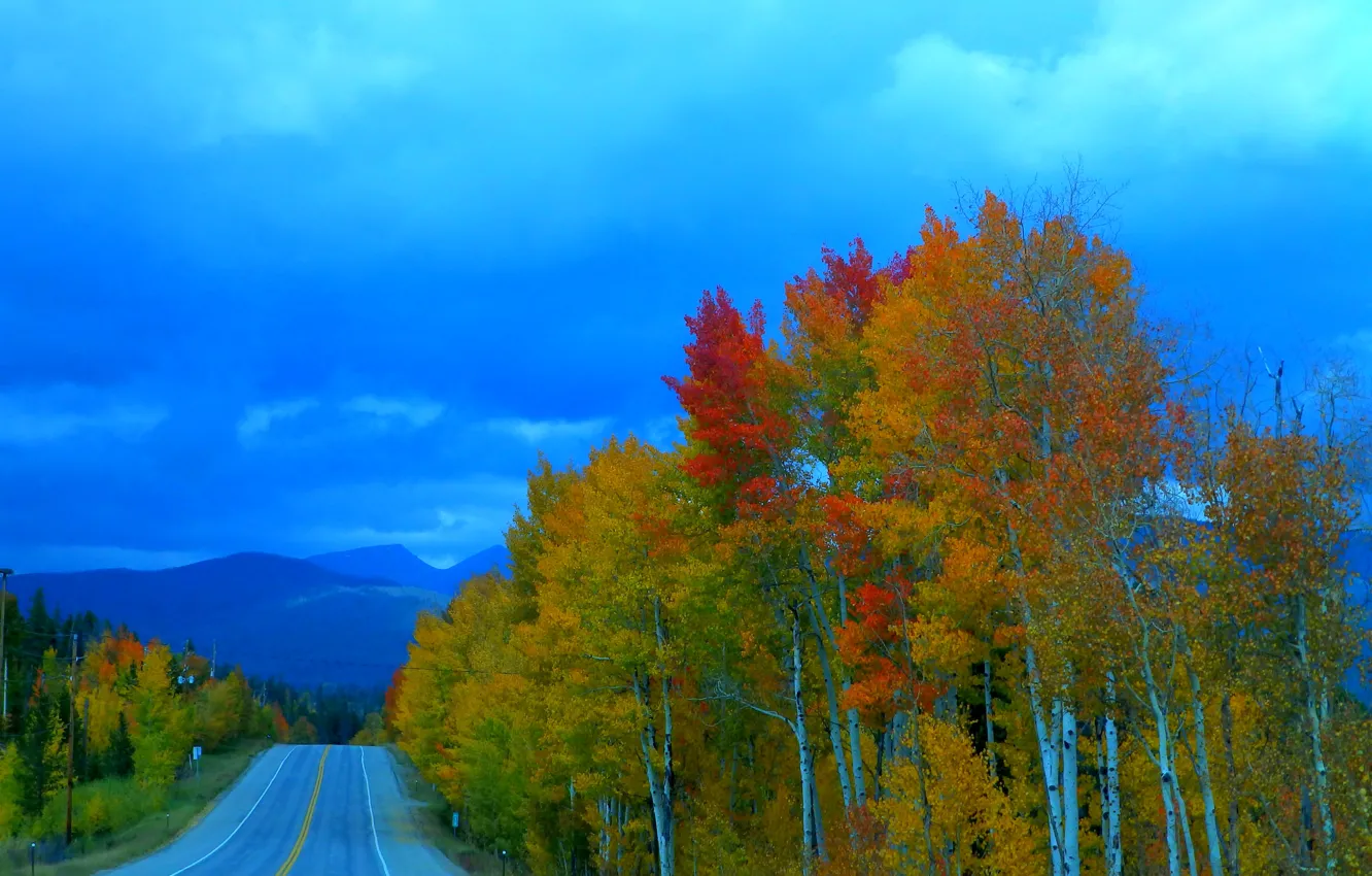 Фото обои дорога, осень, лес, небо, деревья, тучи