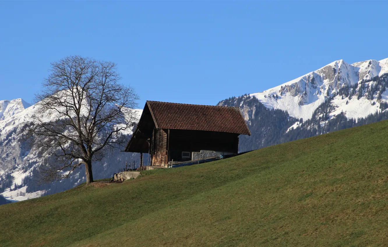 Фото обои горы, дерево, Швейцария, Альпы, домик