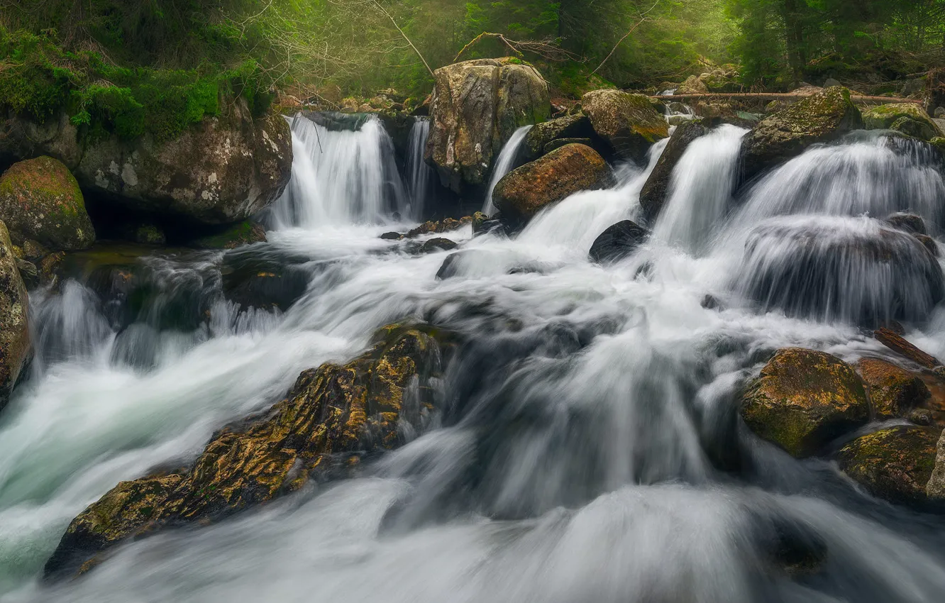 Фото обои камни, растительность, течение, водопад, поток, мощь, валуны