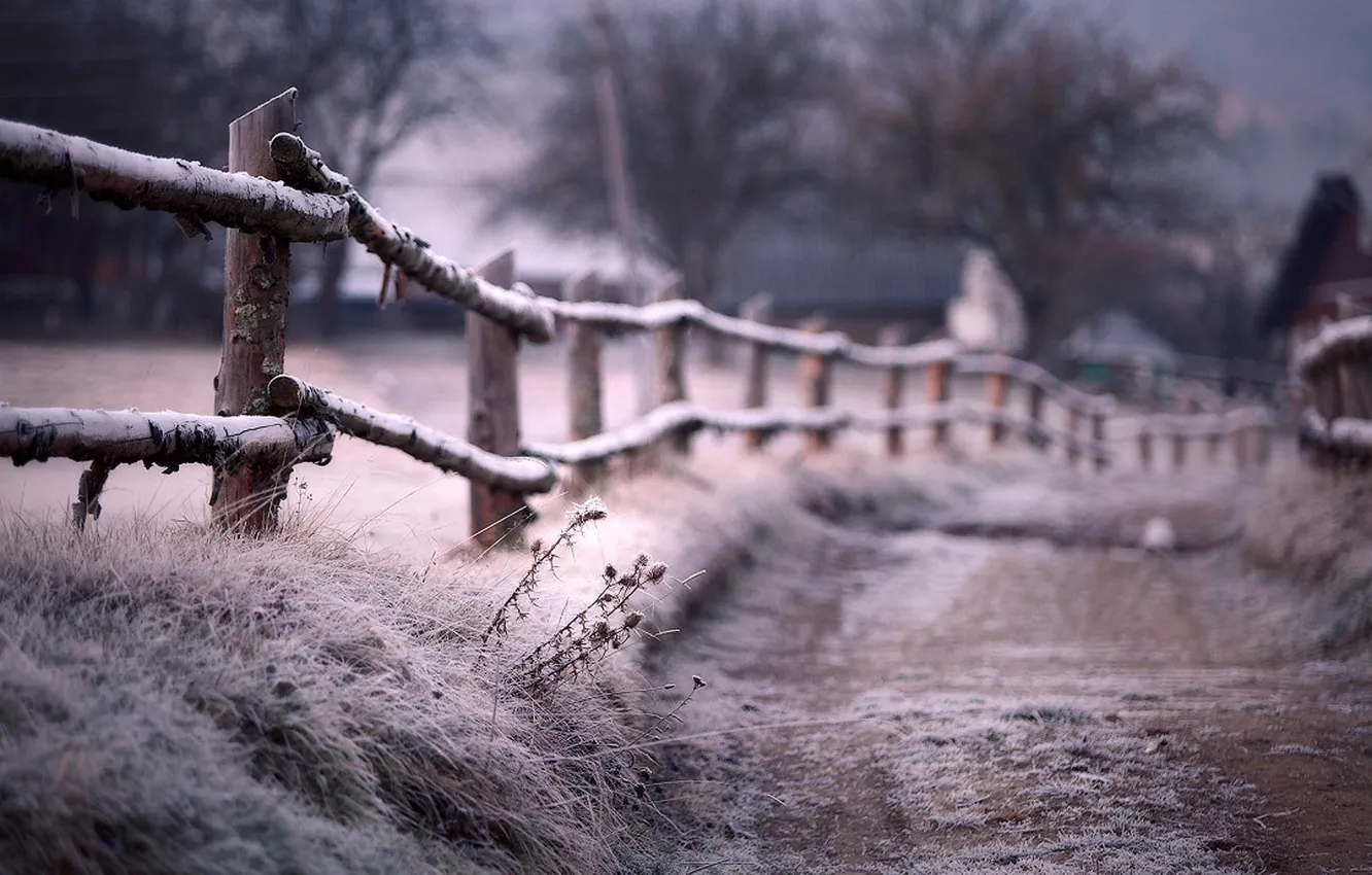 Фото обои иней, забор, Зима, размытость, тропинка, изгородь