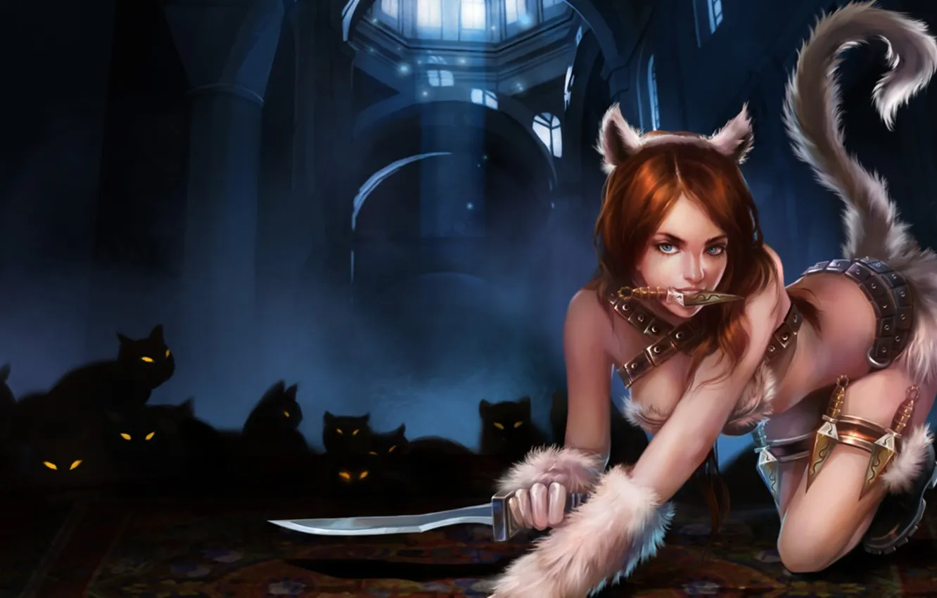 Фото обои кошка, девушка, нож, League of Legends, хвос, кинжалт
