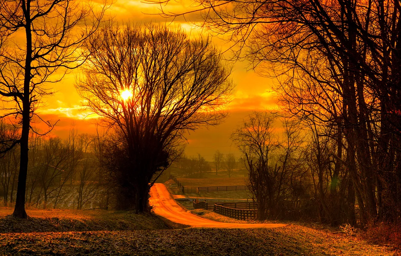 Фото обои дорога, поле, осень, лес, небо, листья, солнце, деревья