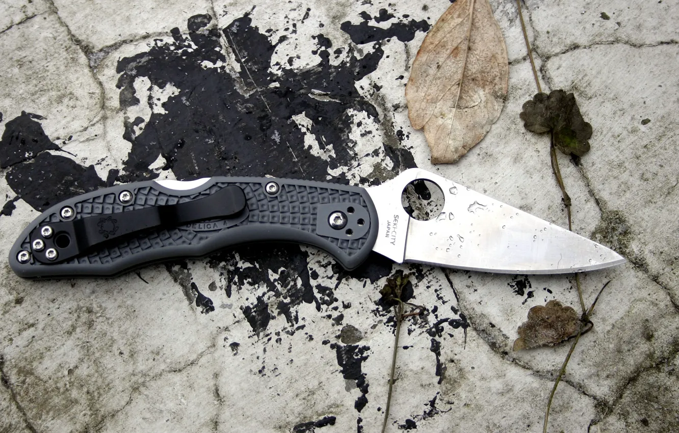Фото обои камни, нож, spyderco, delica 4